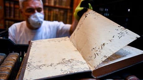 Paper-eating beetles threaten 100,000 books at country’s oldest library