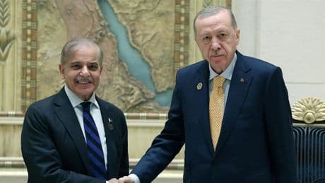 Cumhurbaşkanı Erdoğan, İstanbul'da Pakistan Başbakanı Şerif'le görüşecek