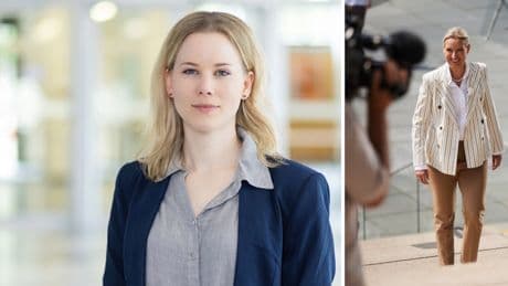 Die AfD muss nicht besonders klug sein – wenn ihre Gegner dumm genug sind