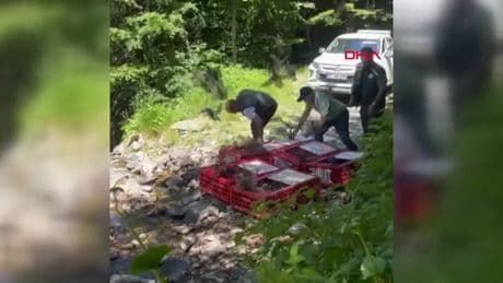 Bursa’da 1400 keklik doğayla buluştu