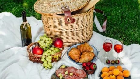 Smart picks for picnics: Foods that hold up when you are on the go