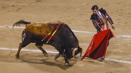 Morante on tour (IX): el maestro se reencarna en un lienzo de Goya
