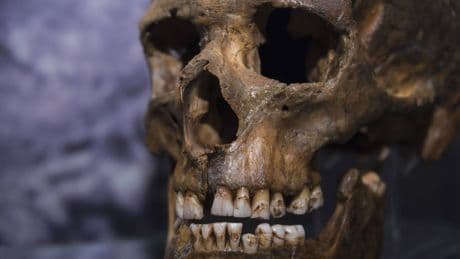 Ni Hiroshima ni Nagasaki: el peor día de la historia de la humanidad ocurrió en 1556