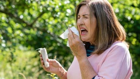 Hay fever alert as UKHSA warns of 'very high' pollen levels this week