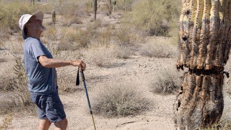 Weed Manager of the Year: One Man’s Quest to Save the Sonoran Desert