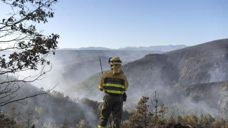 El fuego obliga a desalojar a unas 700 personas de varios pueblos de El Bierzo (León)