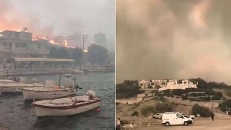 Incendi in Grecia, turisti intrappolati sulle spiagge di Chios salvati via mare. Caos a Zante, un hotel evacuato