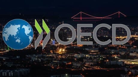 OECD Türkiye Ekonomisti Turban, Türkiye ekonomisini değerlendirdi
