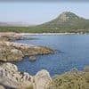 Brit tourist, 41, plunges off a wall to his death in Majorca after losing his balance