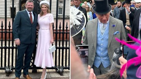 Darts star James Wade invited to Buckingham Palace by King Charles for heroic work outside of the sport