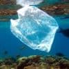Plastic bag bans and fees curb US shoreline litter, study suggests