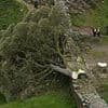 The damning evidence that convicted 'moronic' Sycamore Gap tree duo: Arrogant pair thought they'd got away with tree felling that shocked the world.... but left vital clues