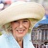 EDEN CONFIDENTIAL: Queen's top crime writer in hunt for online crooks