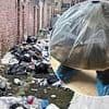 The town infested with supersized rats which feast on uncollected rubbish and fatten up to 22 inches... and not even locals' toilets are safe!