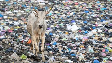 Plastikverschmutzung: Die Verhandlungen müssen weitergehen
