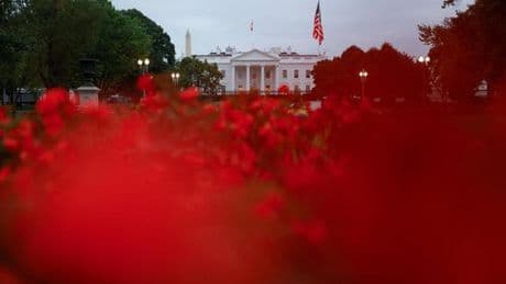 Präsident der USA: Trump kaufte seit Amtsbeginn Anleihen für über 100 Millionen US-Dollar