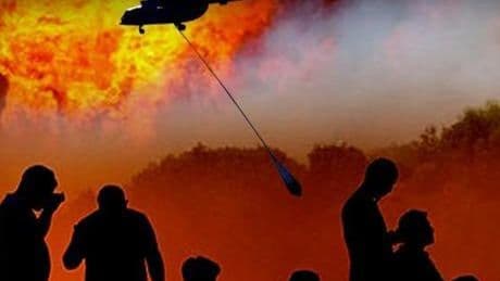 SON DAKİKA YANGIN HABERİ: Sakarya'da başlayan yangın Bilecik'e ulaştı!