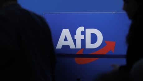 Verfassungsschutz stuft AfD als gesichert rechtsextremistisch ein