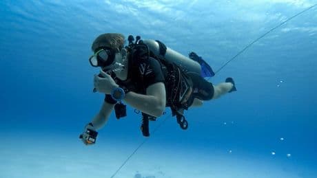 Un estudio científico desvela que los peces podrían llegar a detectar a sus buceadores favoritos