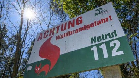 Wetter: Waldbrandgefahr in sieben Landkreisen gestiegen
