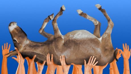 Behind the Curtain: Democrats channel combative MAGA energy