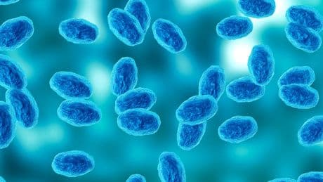 The symptoms to look for as whooping cough cases soar in the US