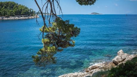 Météo du jeudi 1er mai : un véritable temps d’été, malgré quelques nuages à l’Ouest