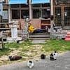 Feline photo leaves people scratching their heads - how many cats can you find in 30 seconds?