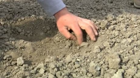 "La terre, c'est du vrai sable": dans le Nord, les agriculteurs inquiets face à une sécheresse d’une ampleur inédite