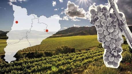 Los cultivos buscan altitud