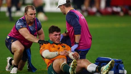 Joe Schmidt hits out at ‘online abuse’ of Carlo Tizzano as Wallabies flanker stood down after Jac Morgan incident