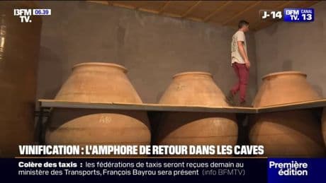 Vin: dans ces caves, l’amphore a remplacé le fût en bois traditionnel