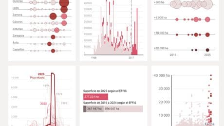 El balance final de los incendios: seis gráficos para entender un 2025 fatal