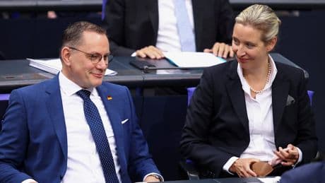 Partei holt in Umfragen auf - Ein Fehler der Regierung macht die AfD so stark
