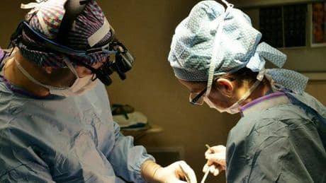 Trapianto di polmone dal maiale all'uomo, primo caso nella storia. «L'organo è rimasto in vita per nove giorni»