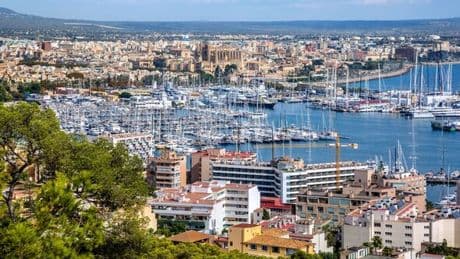 Majorca horror as man dies instantly after being stabbed in heart - killer on lose