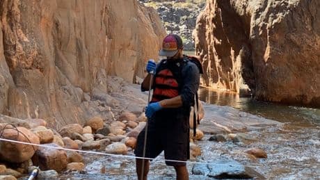 Trump’s Proposed Budget Would Cut the Ecosystems Mission Area and Much of Its Work