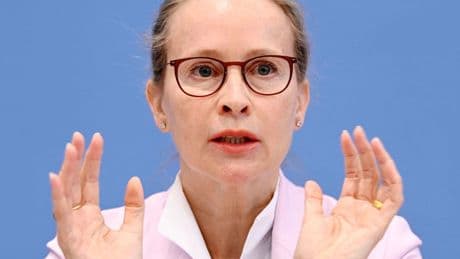 Kandidatin fürs Verfassungsgericht: Was Brosius-Gersdorf vorgeworfen wird