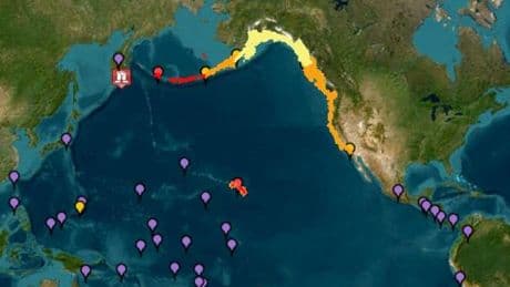 Tsunami, dove ha colpito? Quanto erano alte le onde? Dal Giappone agli Usa, gli effetti del terremoto 8.8 a Kamchatka in Russia