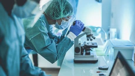 Crean renacuajos cíborg, con implantes neuronales que permitirían tratar enfermedades durante su desarrollo