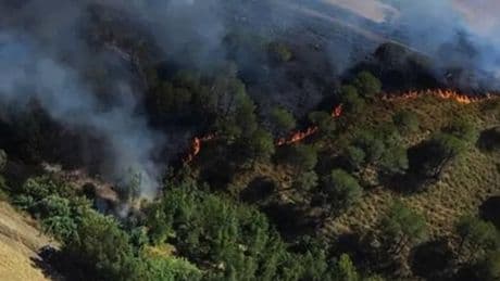 İtalya'da Sardinya Adası alevlere teslim: 20 noktada orman yangını çıktı