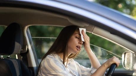 Expert warns of catastrophic effects of leaving children and pets in car this summer