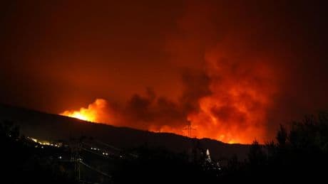 Última hora sobre los incendios forestales en España, en directo | Focos en activo, carreteras cortadas, líneas de trenes afectados y miles de desalojos