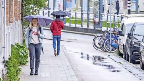 Paraplu kan uit de mottenballen: kans op regen na weken van droogte