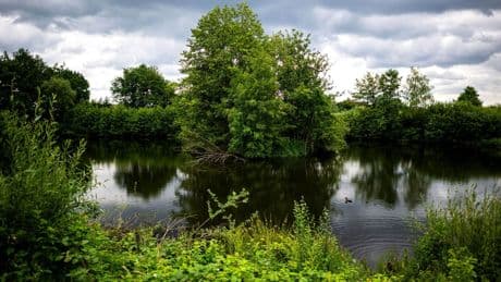 Vergebliche Suche: Keine Strafanzeige wegen falschen Alligator-Video in Vechta