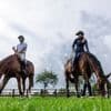Reitsport: Erstmals mit Liebespaar: EM-Team geht auf Gold-Jagd