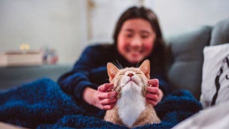 Cats with dementia could help develop Alzheimer's treatment says study