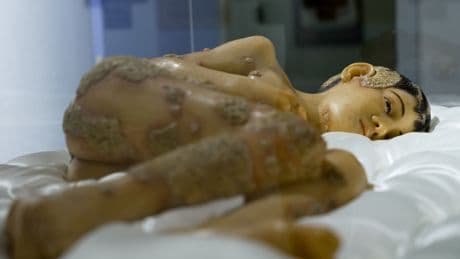 Decenas de sociedades científicas piden a la Comunidad de Madrid que impida la destrucción del Museo Olavide