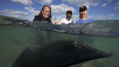 Shark! Celebrity Infested Waters ‘bores’ viewers despite star getting bitten in first episode