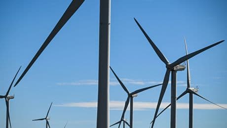 « Des filières entières vont licencier » en cas de moratoire sur les énergies renouvelables, prévient Marc Ferracci